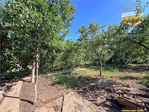 Casa cu 682mp teren intravilan, Simeria, Sfantu Gheorghe - imagine 13