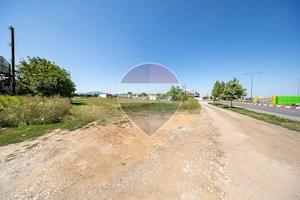 Teren intravilan 24.800 mp Calea Griviței – Paradisul Acvatic - imagine 6