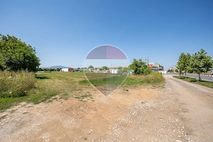 Teren intravilan 24.800 mp Calea Griviței – Paradisul Acvatic - imagine 7