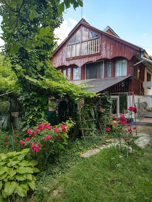  Casă de vacanță cu 8.421 mp teren   Măgura, Buzău - imagine 10
