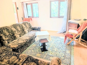 Vând Vila cu 5 camere în Toplița, lângă râul Cerna, în mijlocul naturii. Preț 65000 EUR   - imagine 3