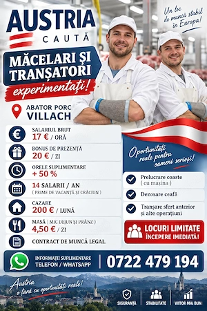 AUSTRIA  - Abator porc  - Villach  ! 