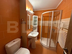 Apartament 2 camere, etaj 3, balcon, complet mobilat și utilat, Cetate - imagine 8