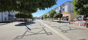 SPATII COMERCIALE DE VANZARE , HUNEDOARA - imagine 2