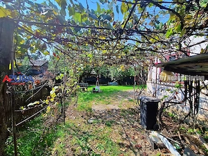 Casă 3 camere + 2.341 mp teren, zona centrală Recea, Argeș – 28.000 € - imagine 20