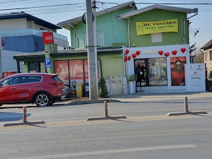 Vand etaj de vila Dumbravita langa benzinaria ESO