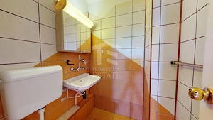 3 CAMERE, 78,4 MP | BLOC DIN 1990, ANVELOPAT | DOAMNA GHICA - imagine 18