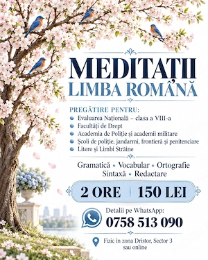 Ofer meditatii limba romana