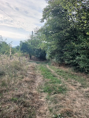 Doua Terenuri  extravilan unul de 6000 mp si altul de 2500mp de vanzare com. Budesti sat Andronsti - imagine 8