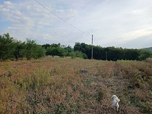 Doua Terenuri  extravilan unul de 6000 mp si altul de 2500mp de vanzare com. Budesti sat Andronsti