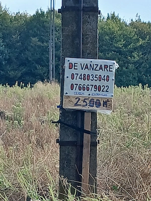 Doua Terenuri  extravilan unul de 6000 mp si altul de 2500mp de vanzare com. Budesti sat Andronsti - imagine 7