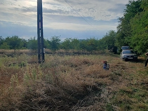 Doua Terenuri  extravilan unul de 6000 mp si altul de 2500mp de vanzare com. Budesti sat Andronsti - imagine 5