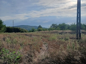 Doua Terenuri  extravilan unul de 6000 mp si altul de 2500mp de vanzare com. Budesti sat Andronsti - imagine 4
