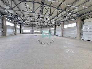 Hala industriala si teren, de inchiriat, Parcul Industrial Prejmer, Brasov - imagine 4