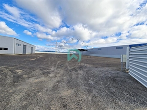 Hala industriala si teren, de inchiriat, Parcul Industrial Prejmer, Brasov - imagine 6