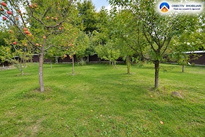 Casa din lemn P+M 191 mp, teren 2.199 mp, Almas - Garcina, zona retrasa - imagine 7