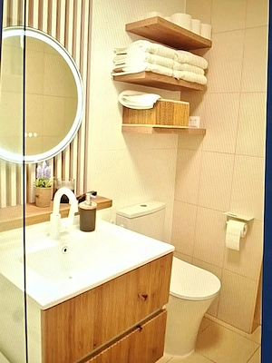 Apartament la mansarda 2 camere de vanzare  - imagine 4