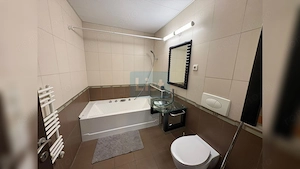 0% comision - Apartament 2 camere openspace, Semiluna Plopilor - imagine 9