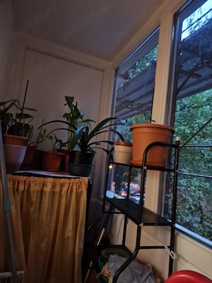 Apartament cu 2 camere București  - imagine 5