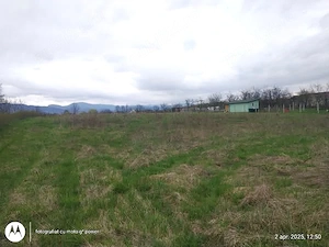 Lapusel strada Rozelor zona de case noi,locuri de casa  - imagine 5