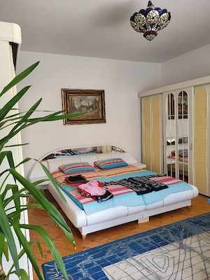 Propietar Zona Lunei Str Tigrului ofer vanzare casa 340 metri utili si suprafata teren 873 m - imagine 2