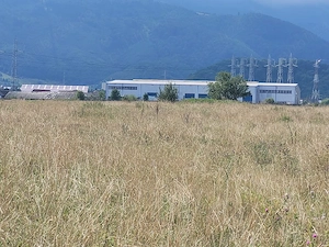 Teren intravilan Brasov , 7600 mp - imagine 5
