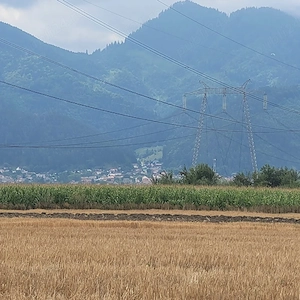 Teren intravilan Brasov , 7600 mp - imagine 4