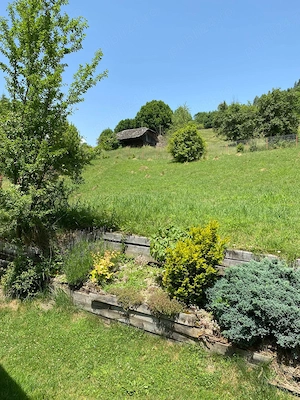 Vand vila,casa-vacanta, Dambovicioara-Arges, situata la 200 km de Bucuresti, teren 10 000 mp - imagine 17