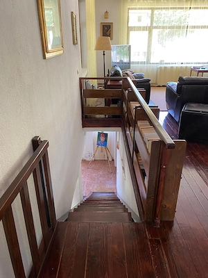 Vand vila,casa-vacanta, Dambovicioara-Arges, situata la 200 km de Bucuresti, teren 10 000 mp - imagine 19