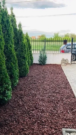 Jumătate de duplex de închiriat în zona Braytim   Giroc ,complet RENOVAT  - imagine 5