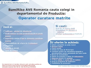 Angajam OPERATOR DE CURATARE MATRITE in departamentul productie