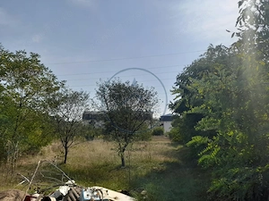 Casă individuală P+M (120 mp) Teren 1.200 mp – Zona Viișoara, Bistrița - imagine 15
