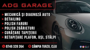 Mecanica Diagnoza Detailing Polish faruri