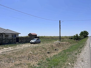 Teren intravilan de 400 mp in Peciu Nou - imagine 5