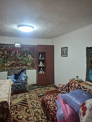Vand casa batraneasca Harsova  - imagine 8