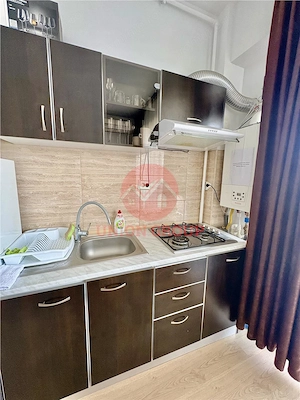 Apartament 2 Camere Open Space Zona Summerland De  #206;nchiriat - imagine 4