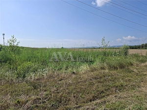 Teren intravilan 1600 mp, zona Nicolae Balcescu - imagine 10