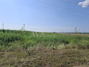 Teren intravilan 1600 mp, zona Nicolae Balcescu - imagine 11