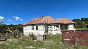 De vanzare casa pe Valea Muresului - imagine 2