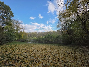 Reședință exclusivistă cu deschidere la Lacul Scroviștea - imagine 20