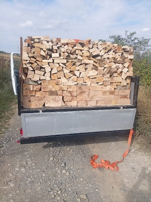 vand lemne de foc