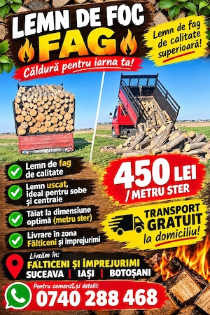 LEMN DE FOC   FAG       Lemn de fag de calitate    450 lei   metru ster    Transport GRATUIT 