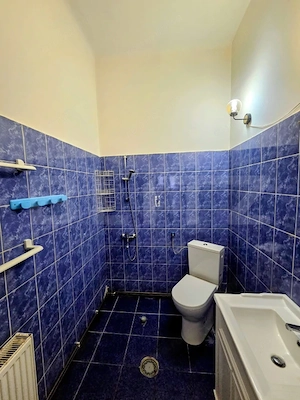 4 CAMERE | 2 BĂI | 110 MP UTILI | GRĂDINĂ | DEMISOL 40 MP, LA CASA  - imagine 4