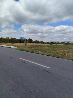 TEREN EXTRAVILAN\ 3678 MP\ OBREJA  JUD. CARAȘ- SEVERIN - imagine 2