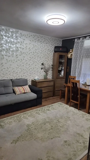 ULTRACENTRAL-CASA 4 CAMERE ,TEREN 677 MP, DESCHIDERE 27 MP, CENTRALA GAZ - imagine 19