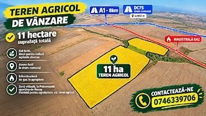 Teren 11 ha   Petrovaselo (Recaș, Timiș), zonă viticolă Recaș, ideal vie + agroturism