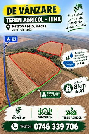 Teren 11 ha - Comasat - 9500euro ha -Petrovaselo (Recaș, Timiș) - imagine 2