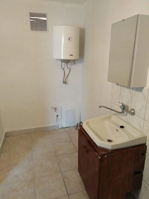 Vand casa in Lepindea comuna Bahnea jud Mures - imagine 9