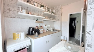 Apartament o camera, 33 mp utili, etaj 1 - Gheorghe Lazar - imagine 4