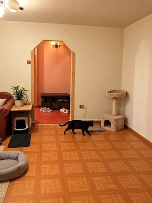 Vanzare apartamen 2 camere - imagine 2